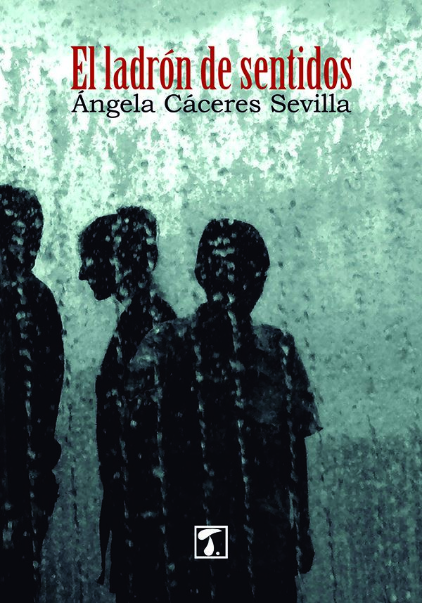 El ladrón de sentidos