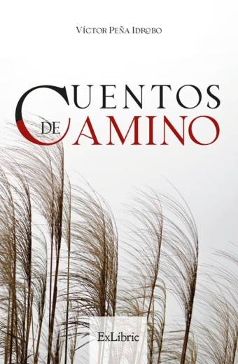 Cuentos de camino