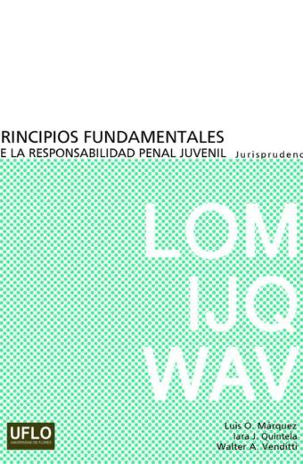Principios fundamentales de la responsabilidad penal juvenil