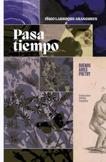 Pasatiempo