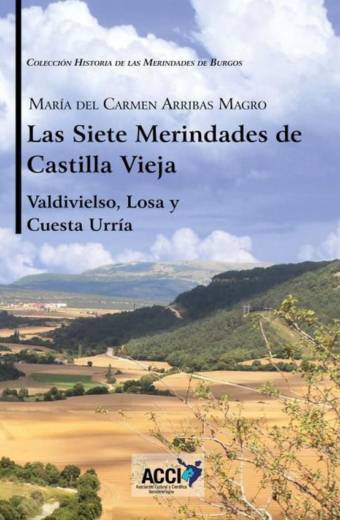 Las siete Merindades de Castilla Vieja - Tomo II