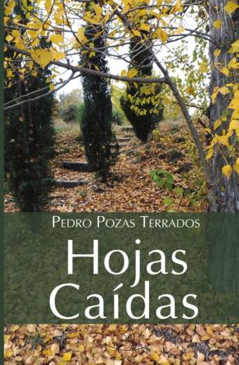 Hojas caídas