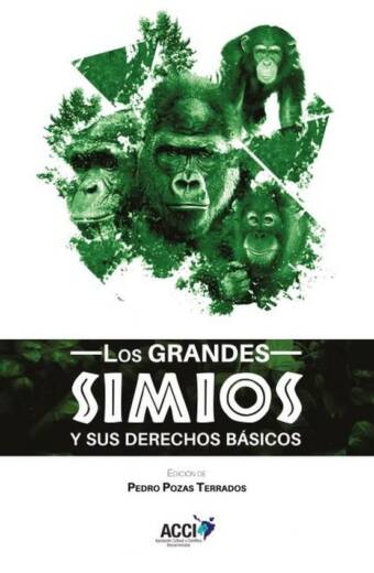 Los grandes simios y sus derechos básicos