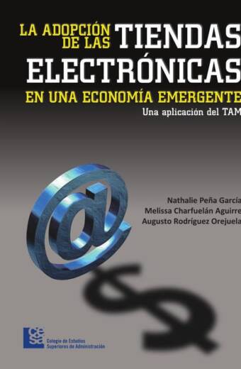 La adopción de las tiendas electrónicas en una economía emergente
