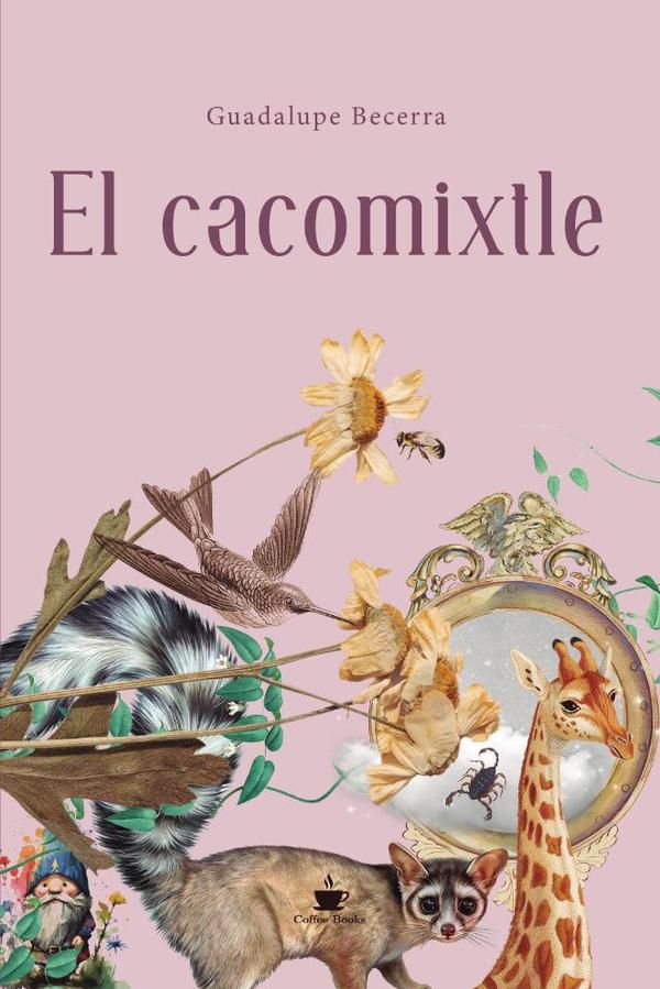 El cacomixtle