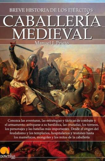Breve historia de la caballería medieval