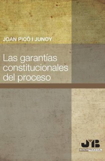 Las garantías constitucionales del proceso.