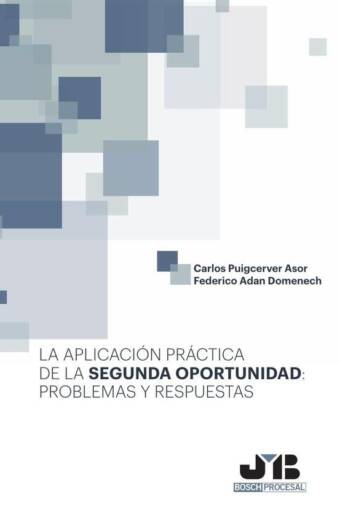La aplicación práctica de la segunda oportunidad: problemas y respuestas.