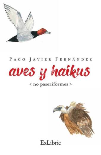 Aves y haikus (No paseriformes)