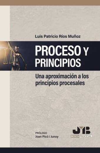 Proceso y Principios