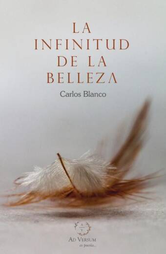 La infinitud de la belleza