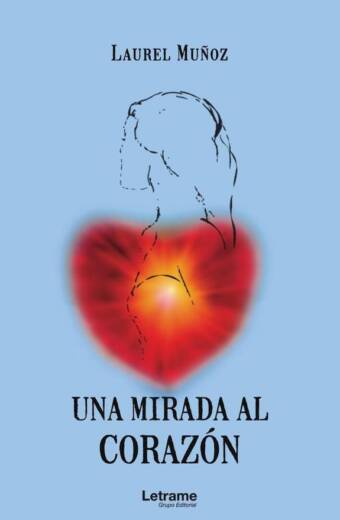 Una mirada al corazón