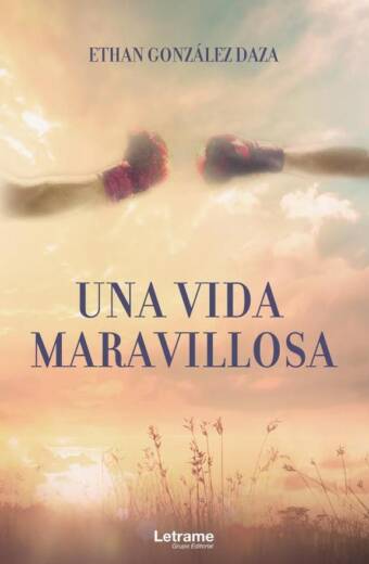 Una vida maravillosa