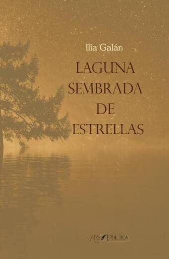 Laguna sembrada de estrellas