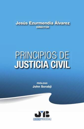 Principios de Justicia Civil