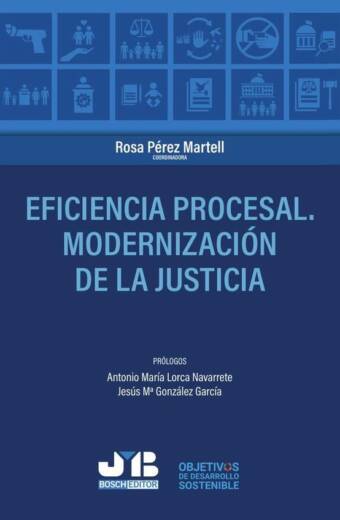 Eficiencia procesal. Modernización de la Justicia