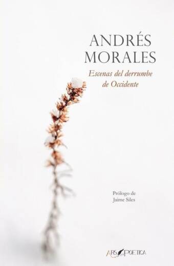 Escenas del derrumbe de Occidente
