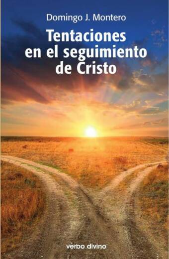 Tentaciones en el seguimiento de Cristo