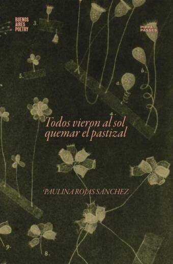 Todos vieron al sol quemar el pastizal