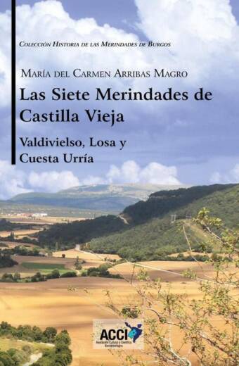 Las siete Merindades de Castilla Vieja - Tomo II